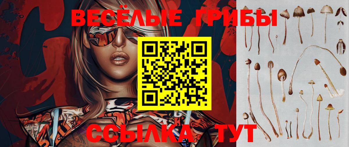 закладка  Псилоцибиновые грибы MAGIC MUSHROOMS  Вход с VPN  Сургут  Галлюциногенные грибы GOLDEN TEACHER 